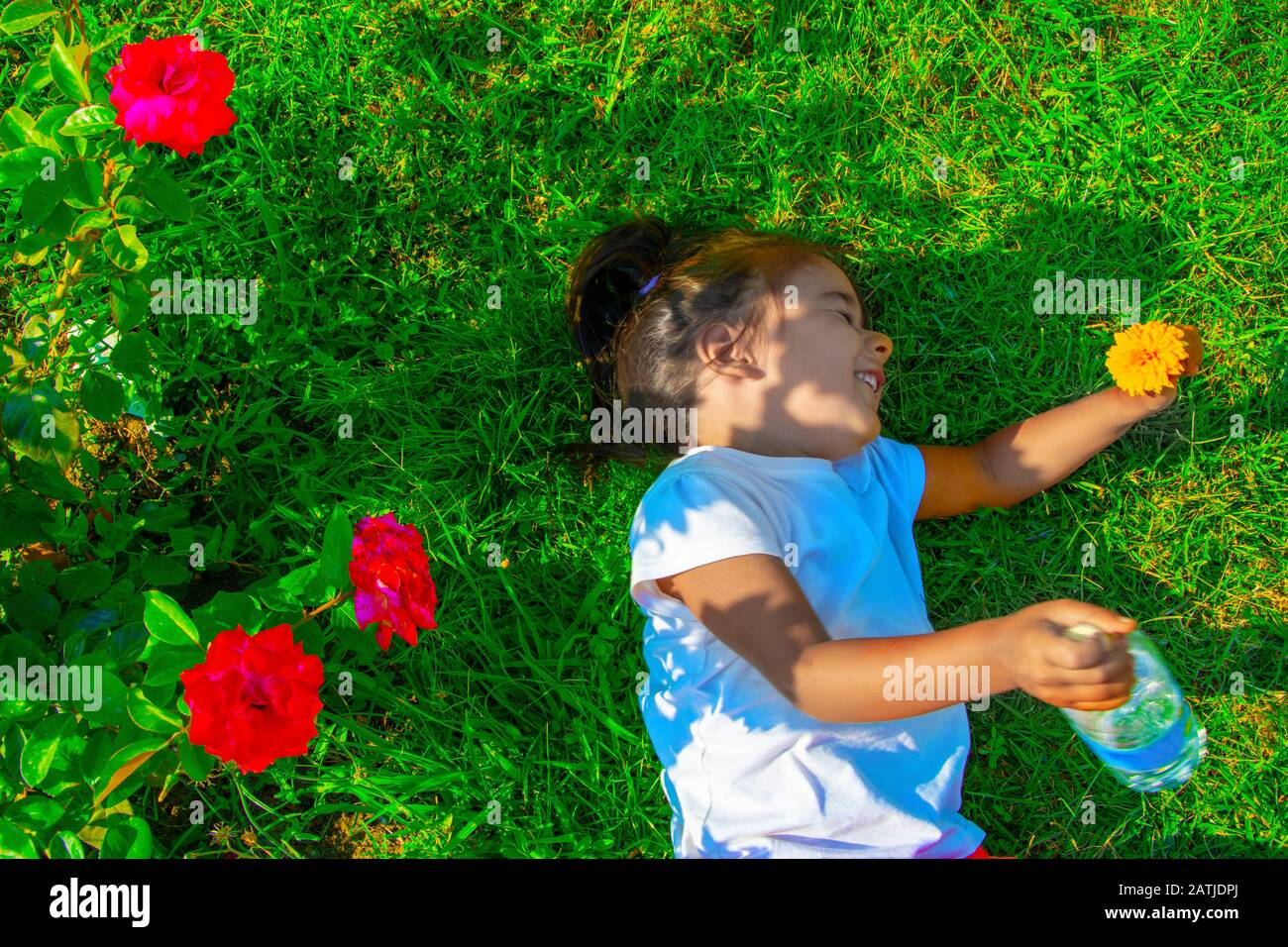 Glückliches kleines Mädchen auf dem Gras Stockfoto