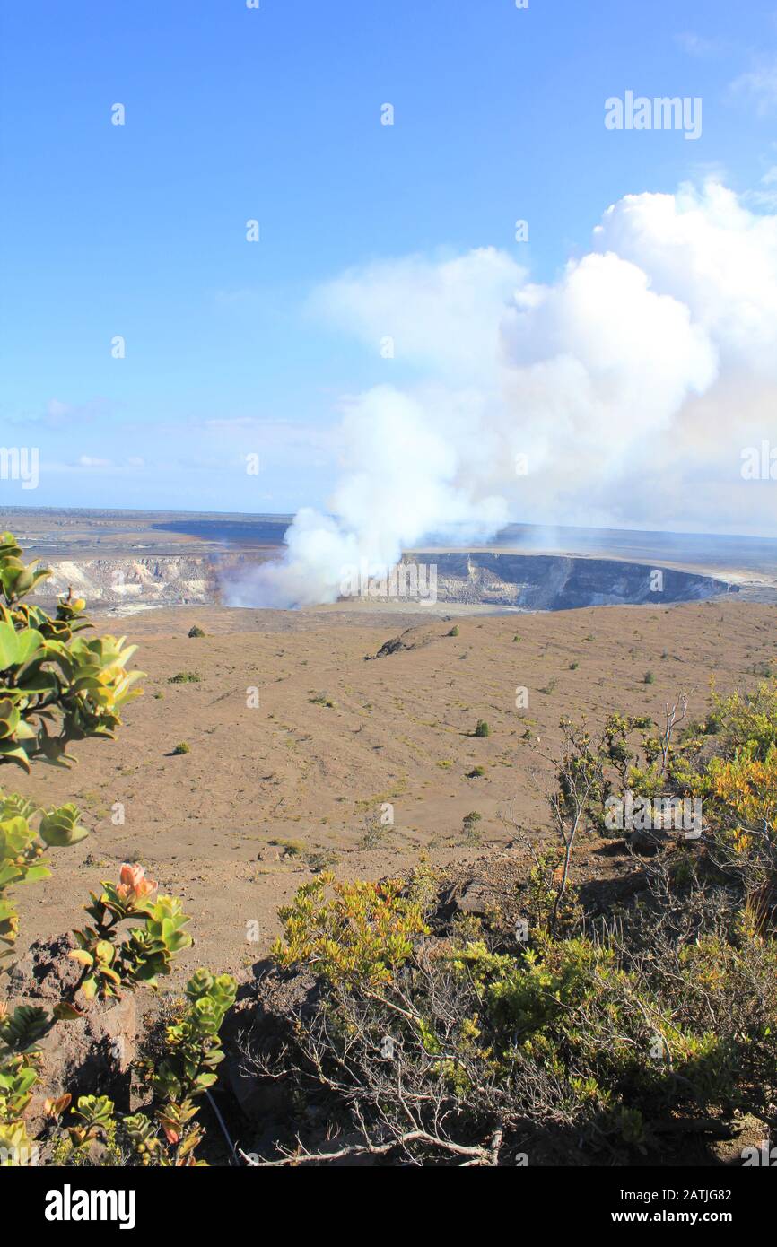 Hawaii Vulkane National Park - Krater auf der Caldera Halemaumau. Kilauea Vulkan und endemischer Lehua Baum Stockfoto