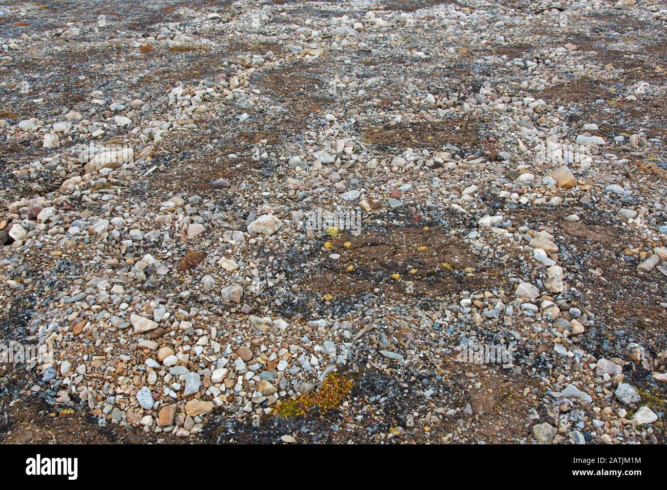 Teilweise geschmolzen und eingestürzte Lithalsien - schwere, in Permafrost gefundene Hügel - hinterließen kreisähnliche Strukturen auf der Tundra, dem Svalbard-Archipel, Norwegen Stockfoto