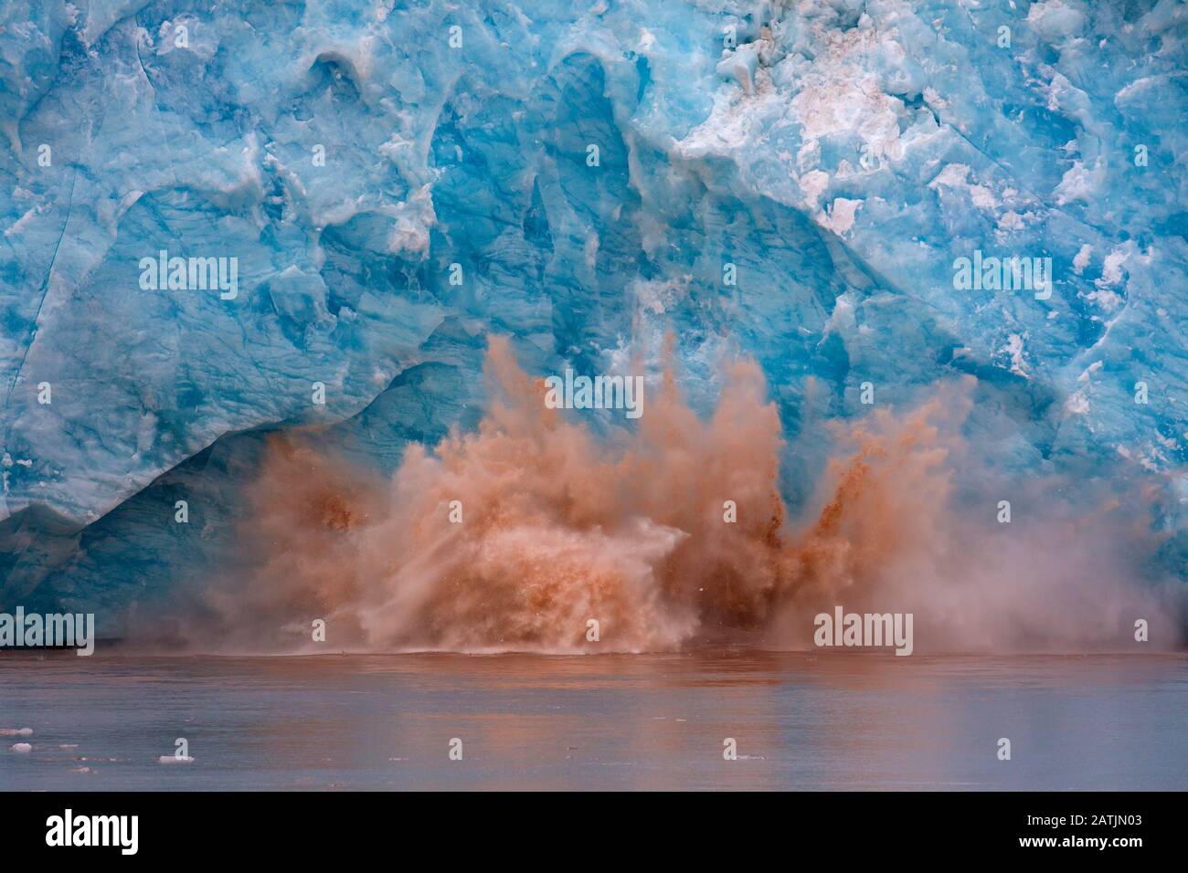 Riesiger Eisklumpen, der vom Rand des Kongsbreen-Gletschers bricht, der in Kongsfjorden, Spitzbergen/Spitzbergen, Norwegen kalbt Stockfoto