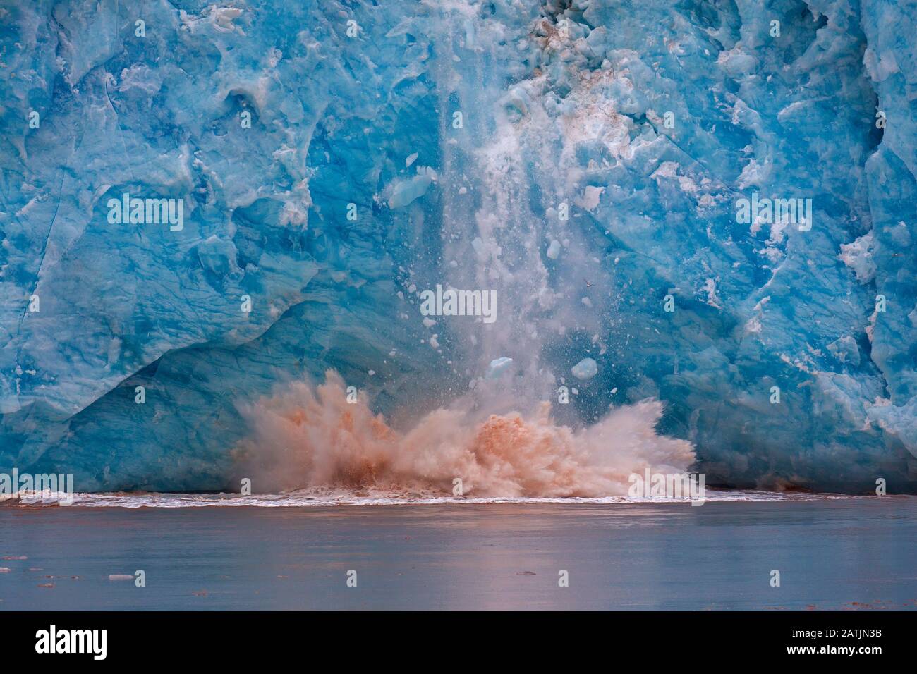 Riesiger Eisklumpen, der vom Rand des Kongsbreen-Gletschers bricht, der in Kongsfjorden, Spitzbergen/Spitzbergen, Norwegen kalbt Stockfoto