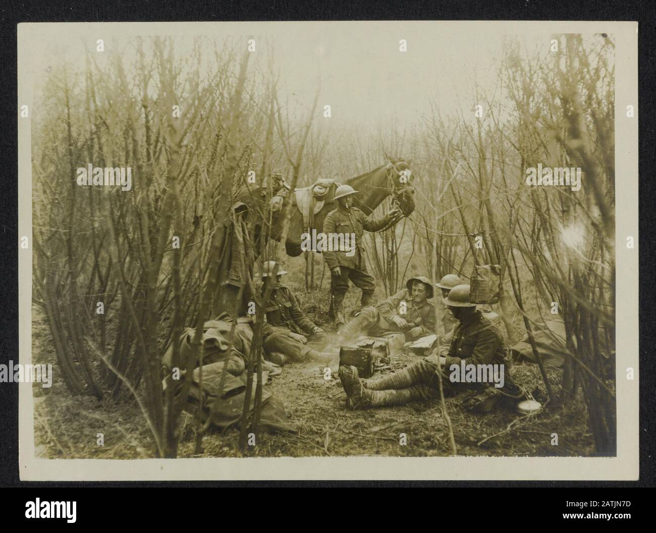 Die britische Westfront in Frankreich Beschreibung: Die deutsche Offensive. Artillerymen, die in einer Kopse in der Nähe Ihrer Waffen ruhen Anmerkung: Britische Westfront in Frankreich. Die deutsche Offensive. Britische schützen ruhen in einem Dickicht in der Nähe ihrer Waffen Datum: {1914-1918} Ort: Frankreich Schlagwörter: Wald, Erster Weltkrieg, Fronten, Soldaten, Ausrüstung Stockfoto