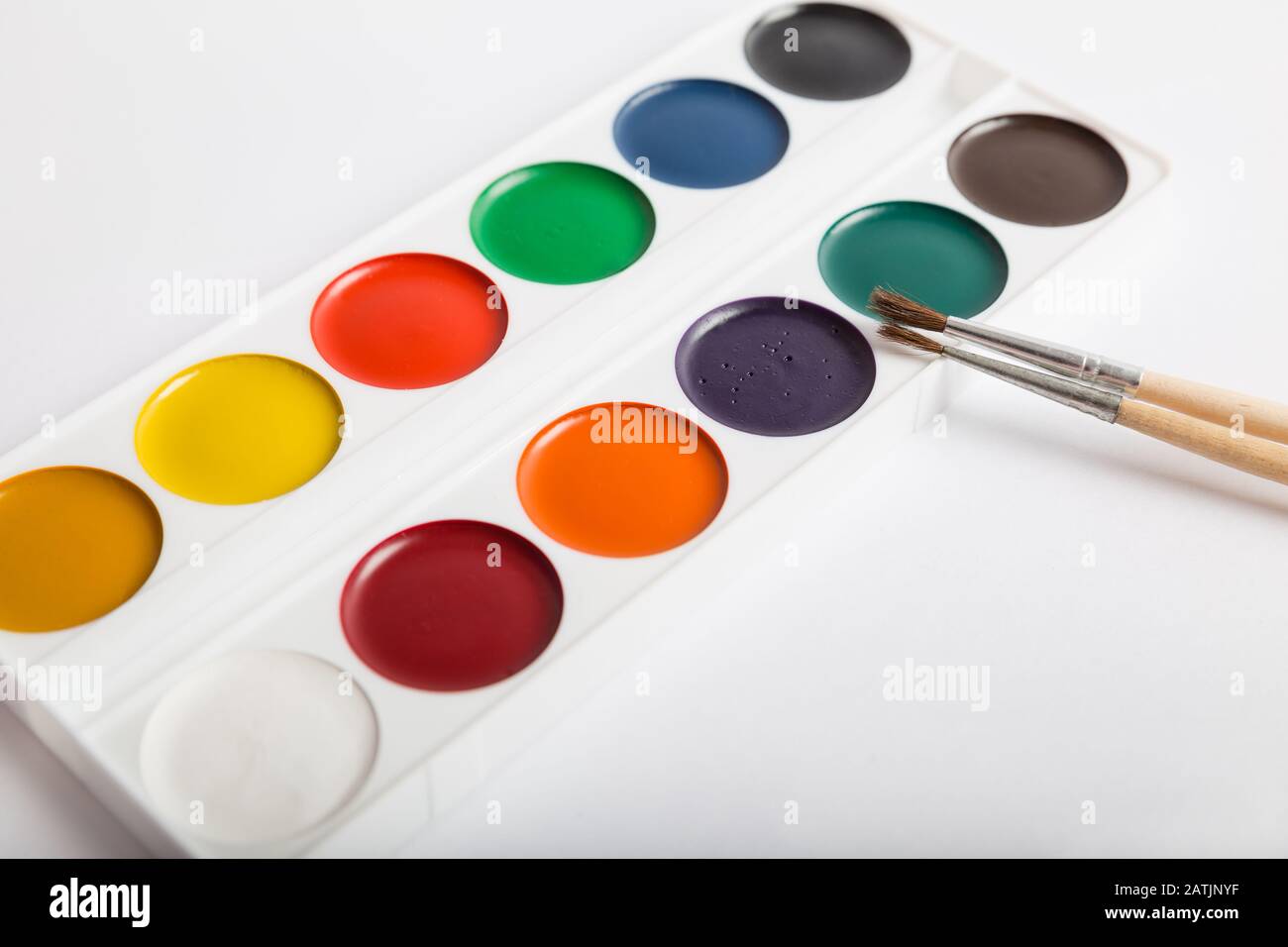 Set mit Aquarellfarben in Kunststoffbox und zwei Bürsten auf weißem Hintergrund Stockfoto