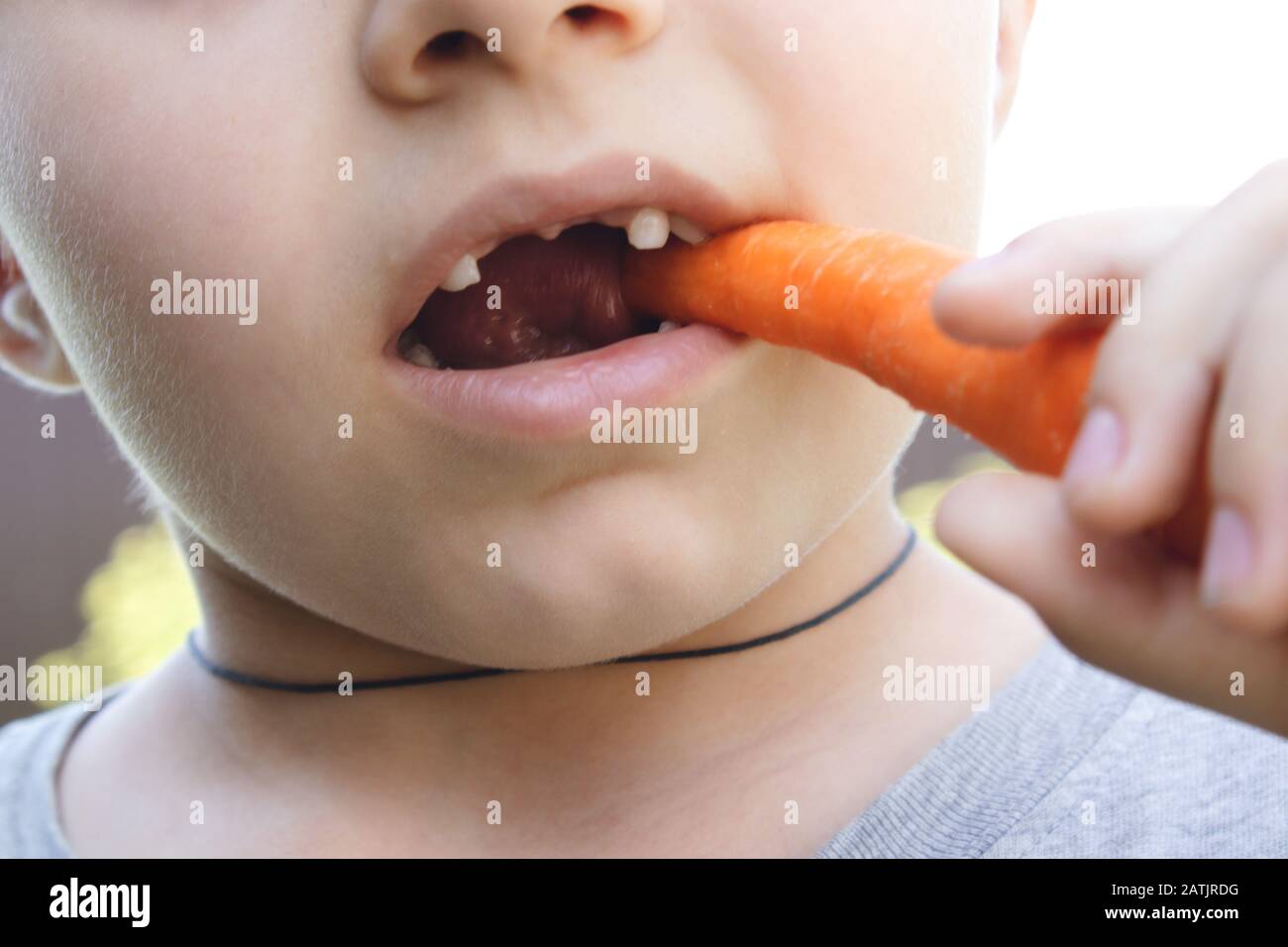 Ein kleiner Junge ohne Zähne isst in der Natur eine orangefarbene Karotte. Nahaufnahme. Stockfoto