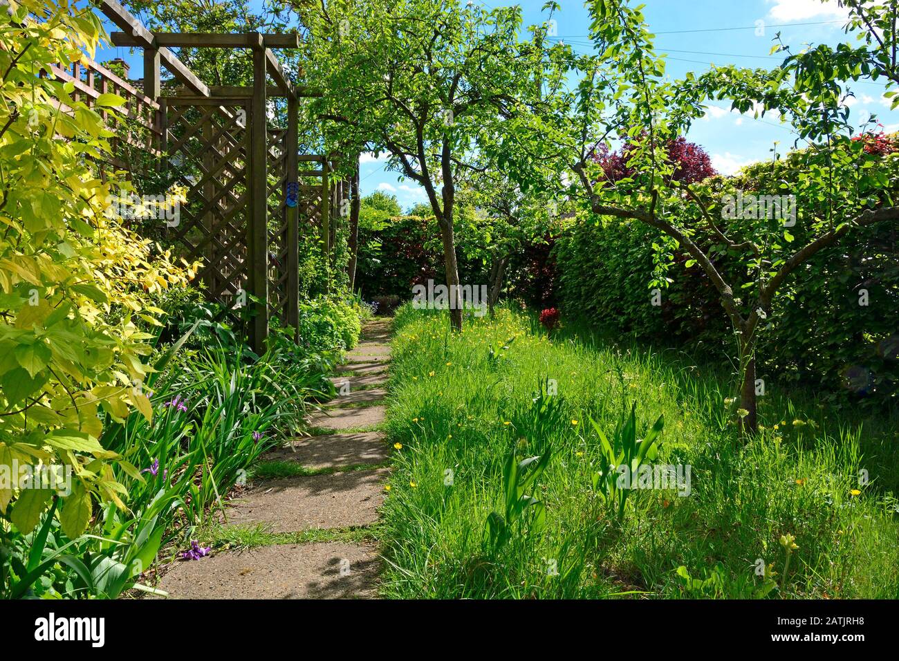 Kleiner Wildgarten mit Bäumen und einer ungeschnittenen Wiese zur Förderung von Insekten. Boughton Monchelsea Village, Kent, England. Stockfoto