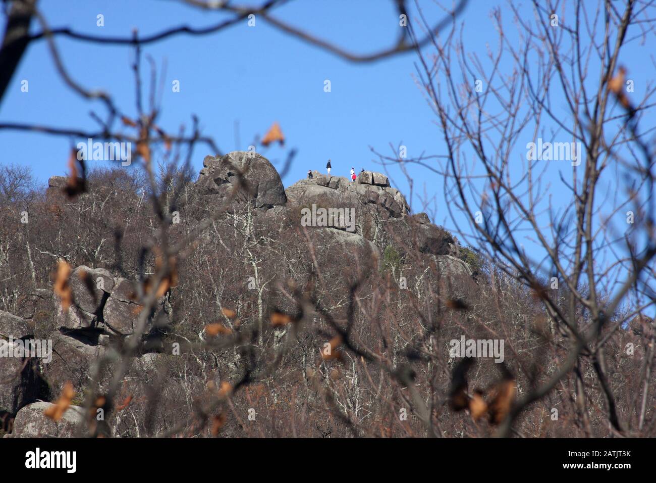 Wanderer auf dem Gipfel eines Berges in den Blue Ridge Mountains in Virginia, USA Stockfoto