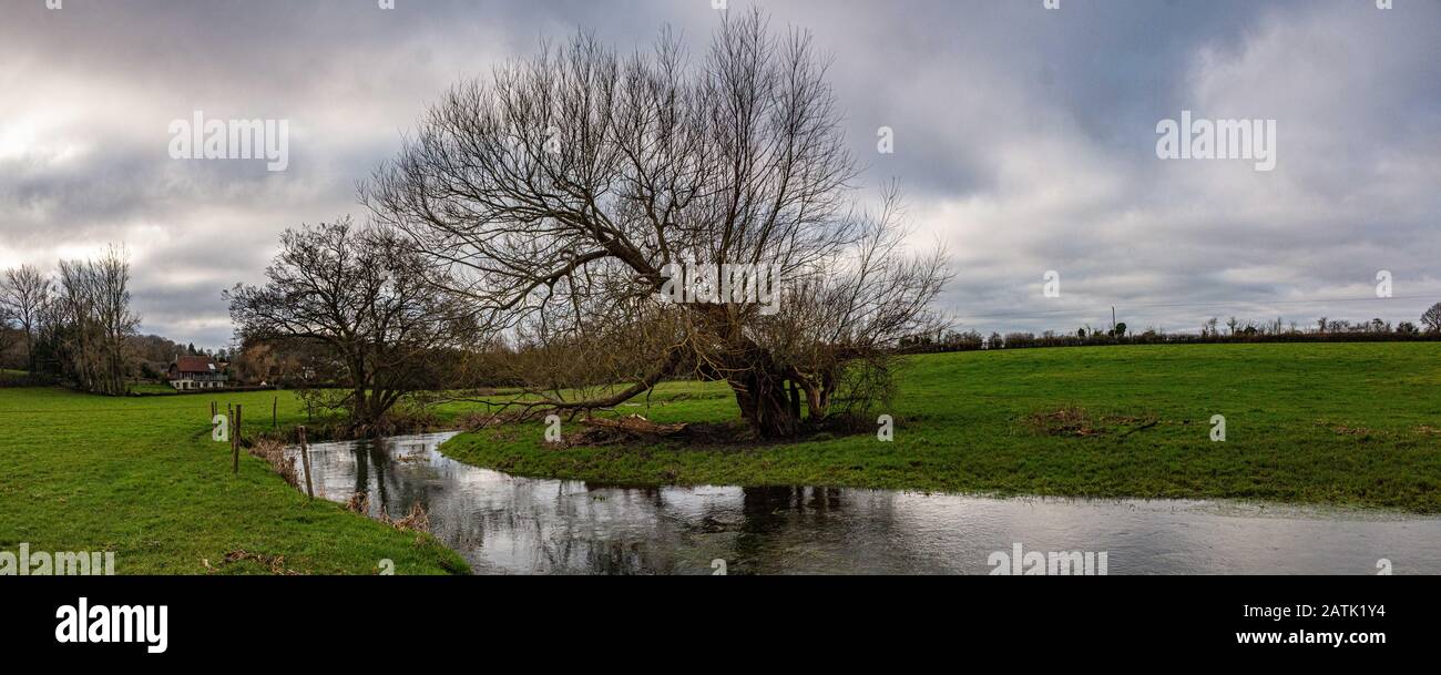 Riverside Trees reflektieren Den Fluss Wey Kreidestrom, der durch Issington und Bentley Hampshire Wasserwiesen fließt Stockfoto