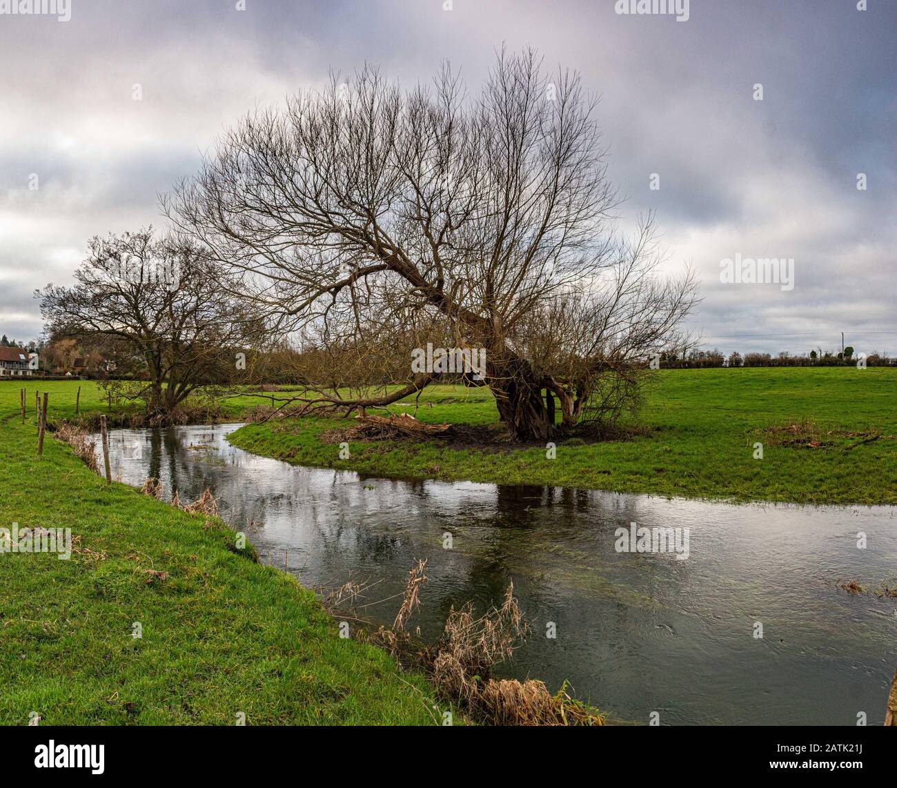 Riverside Trees reflektieren Den Fluss Wey Kreidestrom, der durch Issington und Bentley Hampshire Wasserwiesen fließt Stockfoto