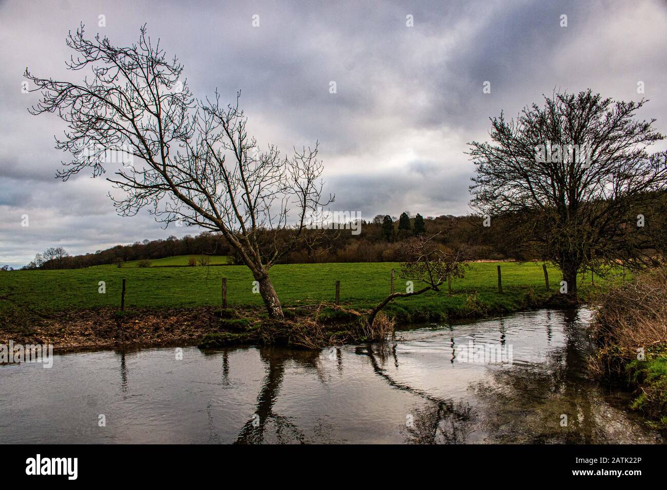 Riverside Trees reflektieren Den Fluss Wey Kreidestrom, der durch Issington und Bentley Hampshire Wasserwiesen fließt Stockfoto