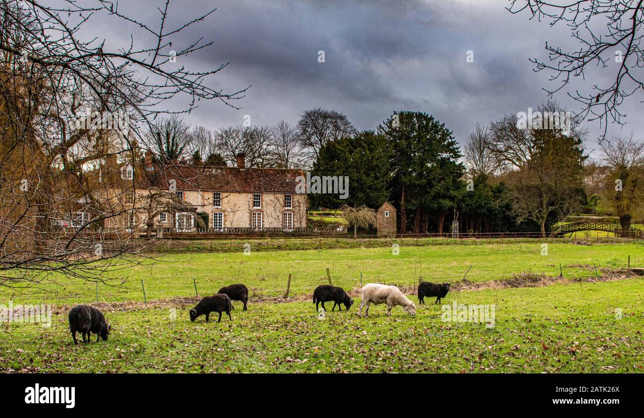 Landbesitz Der Fluss Wey Kreide fließt durch Issington und Bentley Hampshire Wasserwiesen Stockfoto