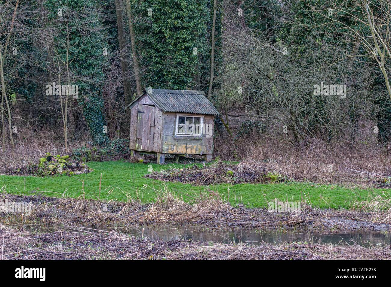 Hen beherbergen Den Kreidestrom des River Wey, der durch die Wasserwiesen von Issington und Bentley Hampshire fließt Stockfoto