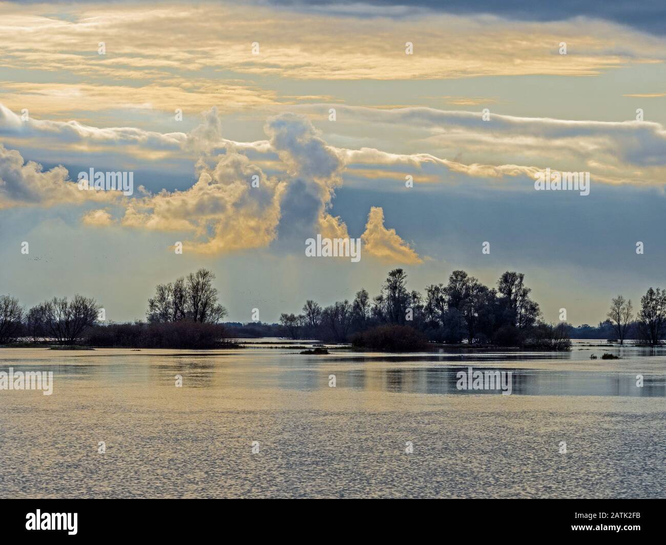 Blick auf die Ouse Weht in der Flut und blickt von Sutton Gault, Cambridgeshire, England nach Süden Stockfoto