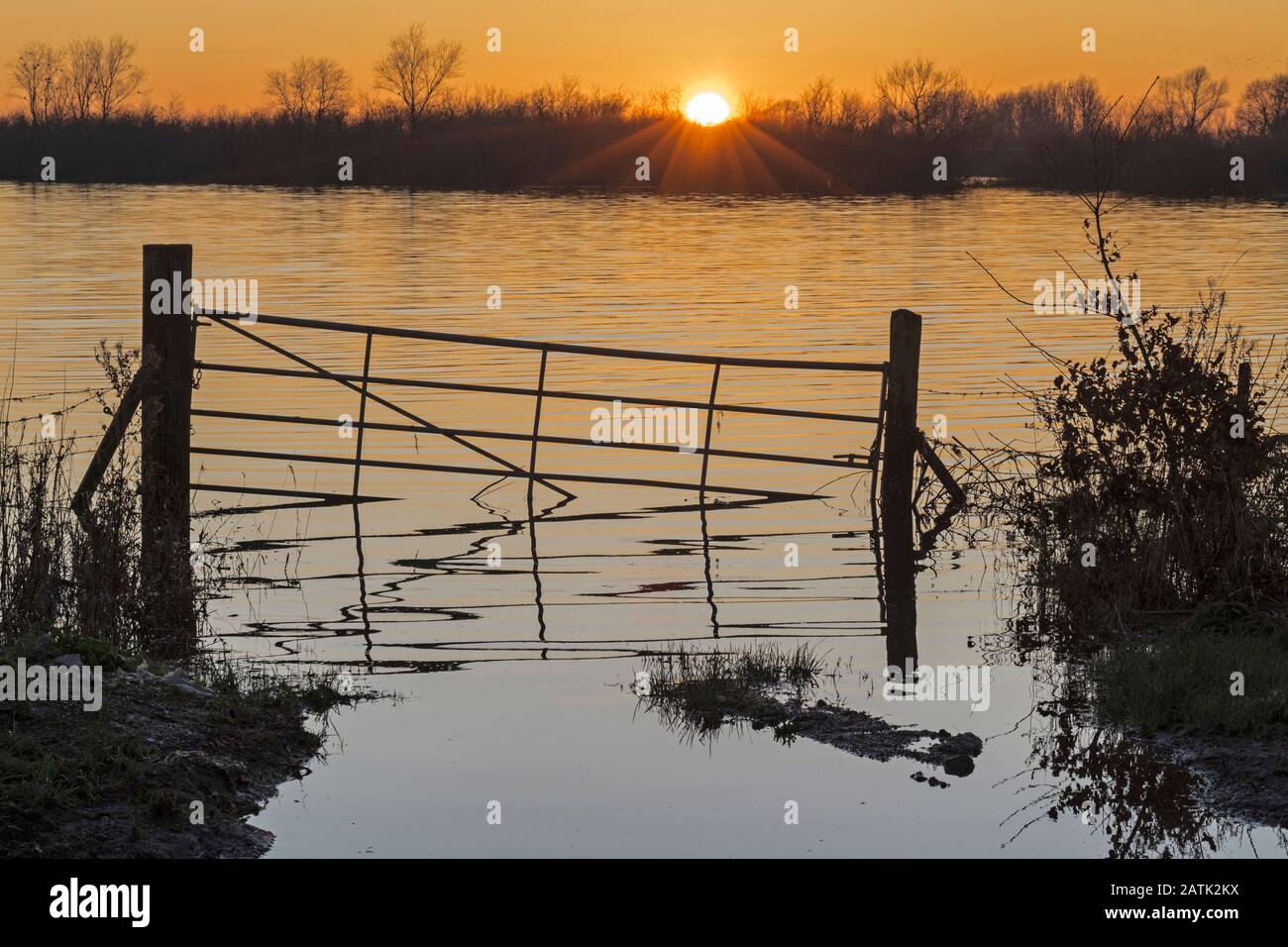 Ein überflutetes Tor bei Sonnenuntergang, Ouse Wäscht in Sutton Gault, Cambridgeshire, England Stockfoto