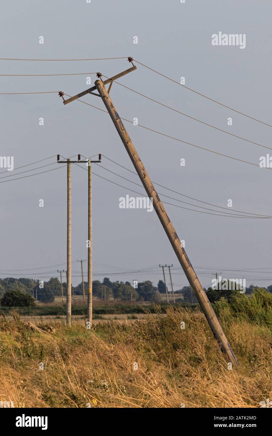 Telegrafenmasten in den Fens, in der Nähe von Haddenham, Cambridgeshire, England Stockfoto