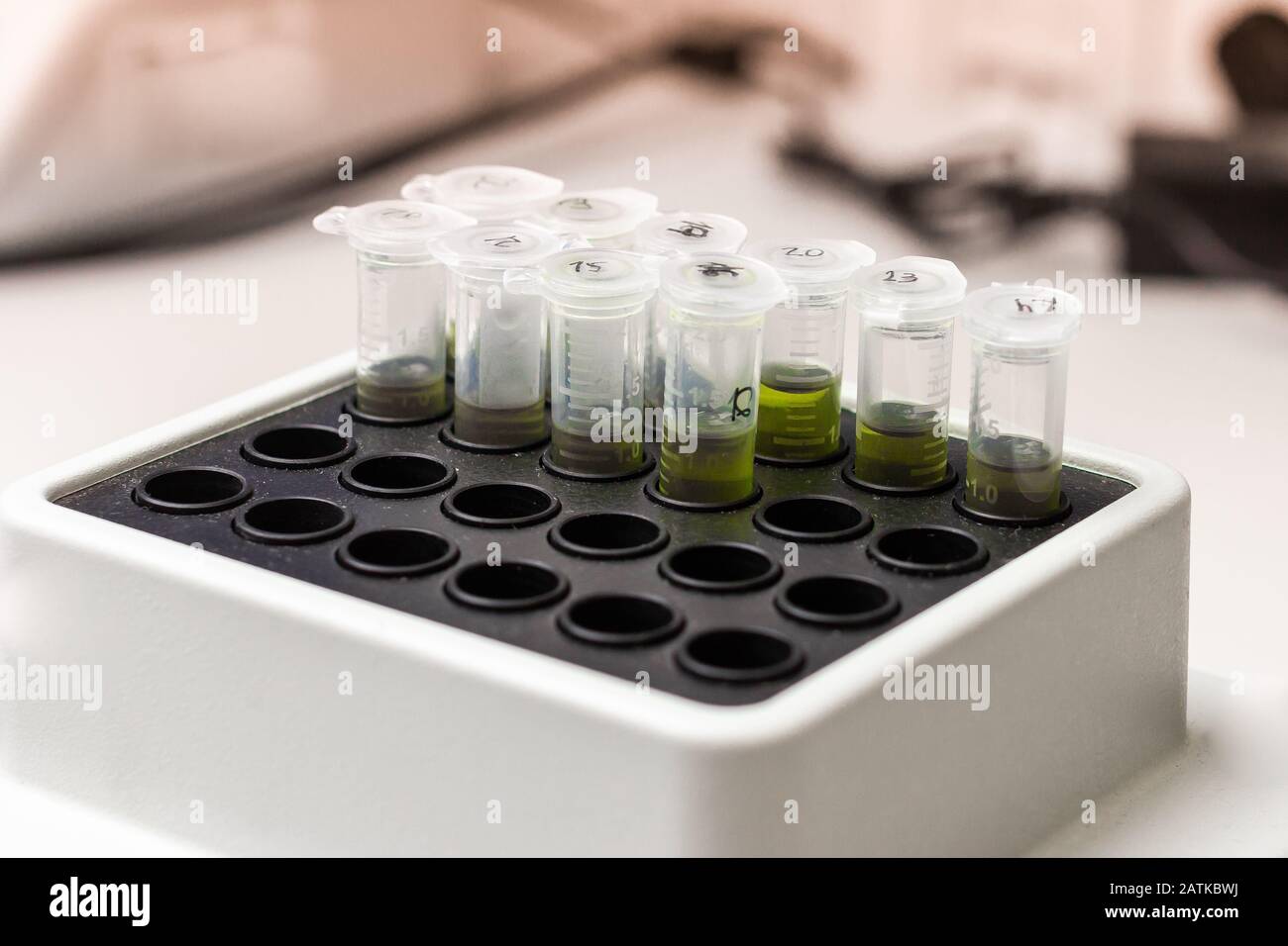 Grüne Substanz in Mikroröhre wird in Thermoschüttler gegeben. DNA-Experiment im biochemischen Labor. Synthese neuer Impfstoffe oder Medikamente gegen Stockfoto