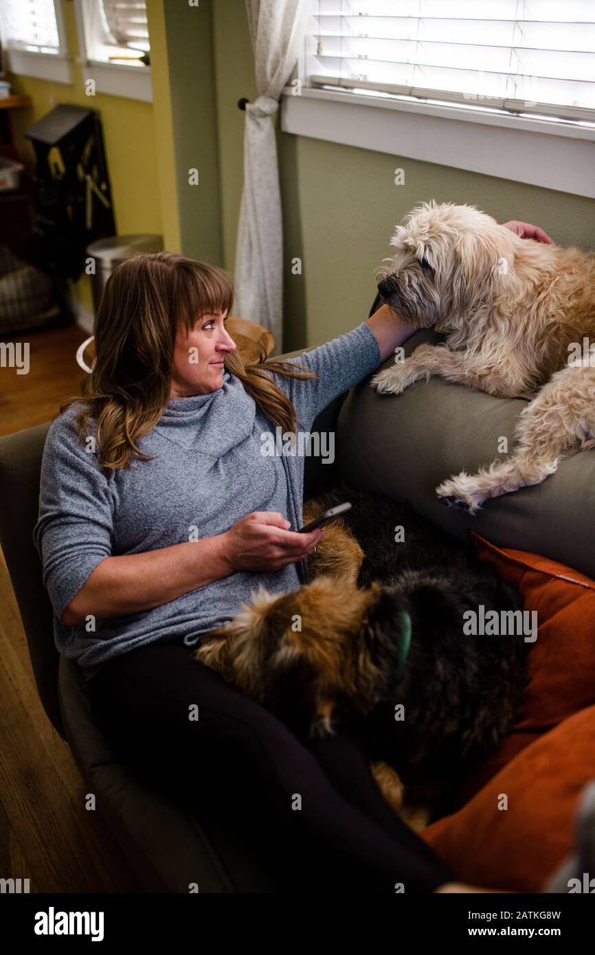 Mitte der 40er Jahre sitzt Frau auf dem Stuhl mit ihren zwei großen Hunden Stockfoto