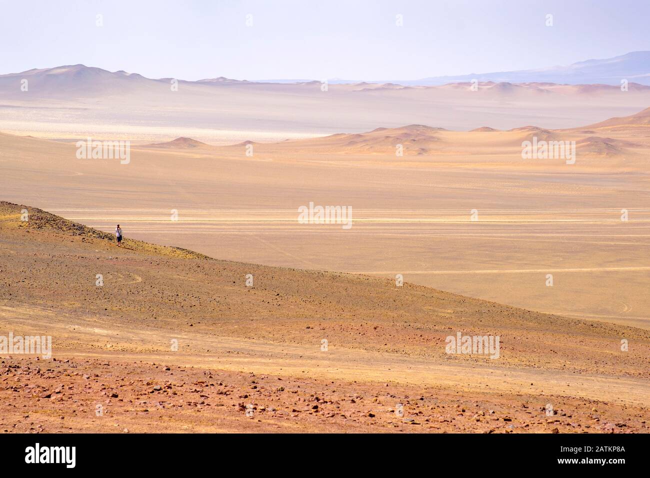 Reserva natural de paracas Fotos und Bildmaterial in hoher Auflösung