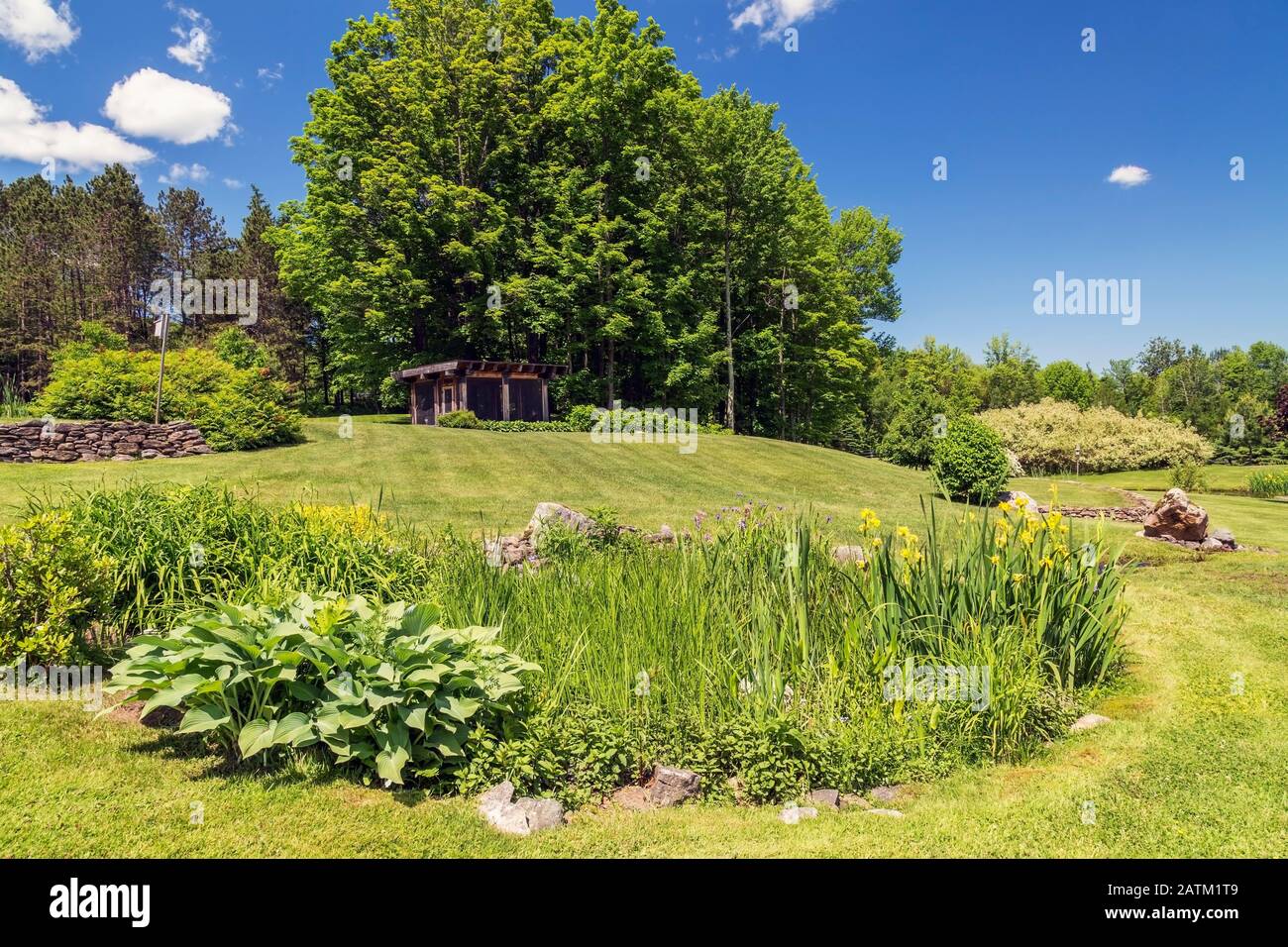 Hemerocallis - Taglilie und Hosta - Wegerich Lilie am Rand Von Teich mit gelben Iris pseudacorus 'Variegata' Blumen plus gesiebt Holzpavillon Stockfoto