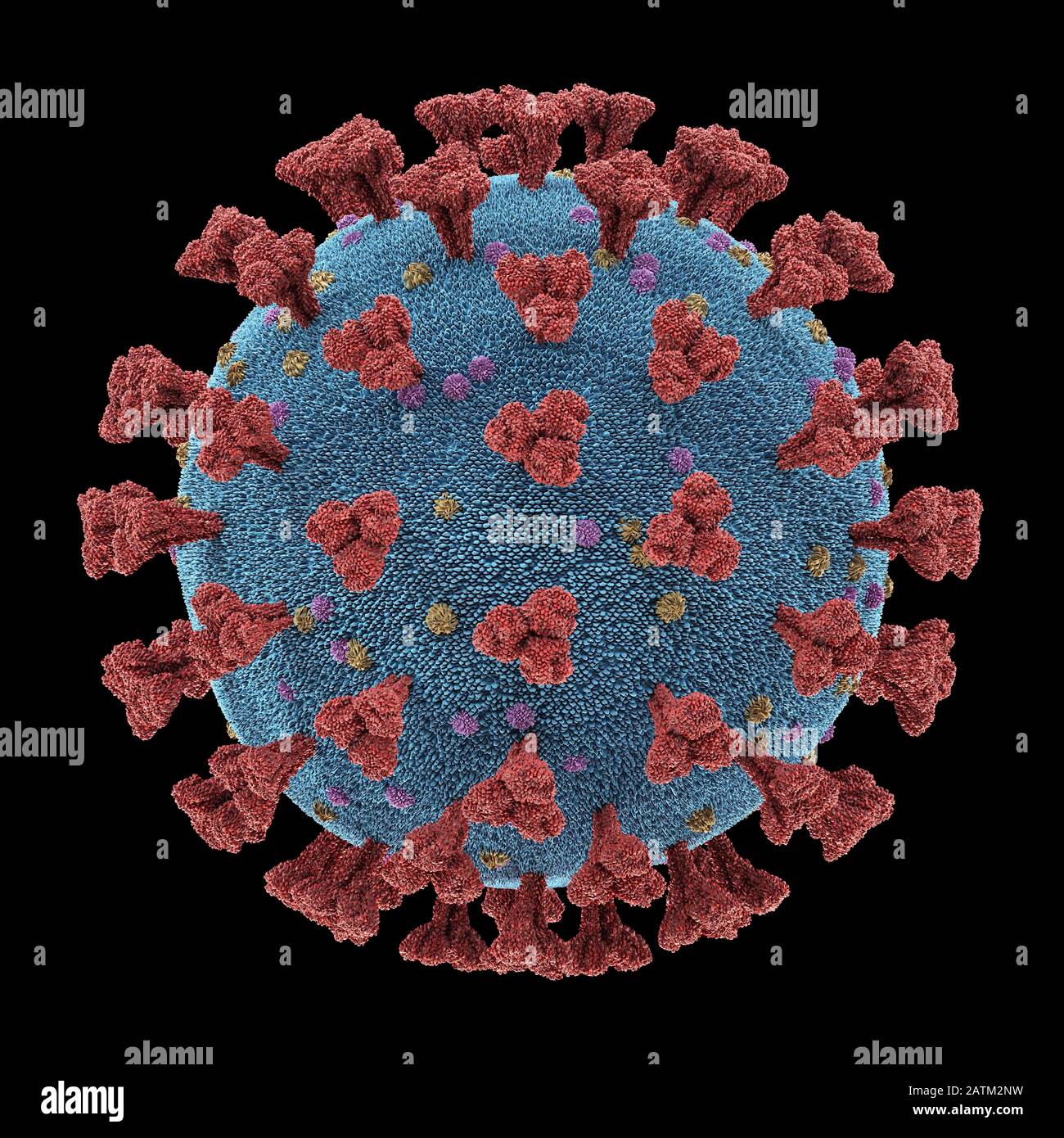 Coronavirus, eine Gruppe von Viren, die bei Säugetieren und Vögeln Krankheiten verursachen. Beim Menschen verursacht das Virus Atemwegsinfektionen. 3D-Illustration, konzeptua Stockfoto