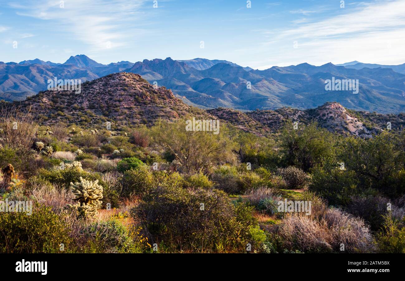 Blick auf die Berge und die Wüstenvegetation rund um den Bartlett Lake, Tonto National Forest, Arizona. Stockfoto
