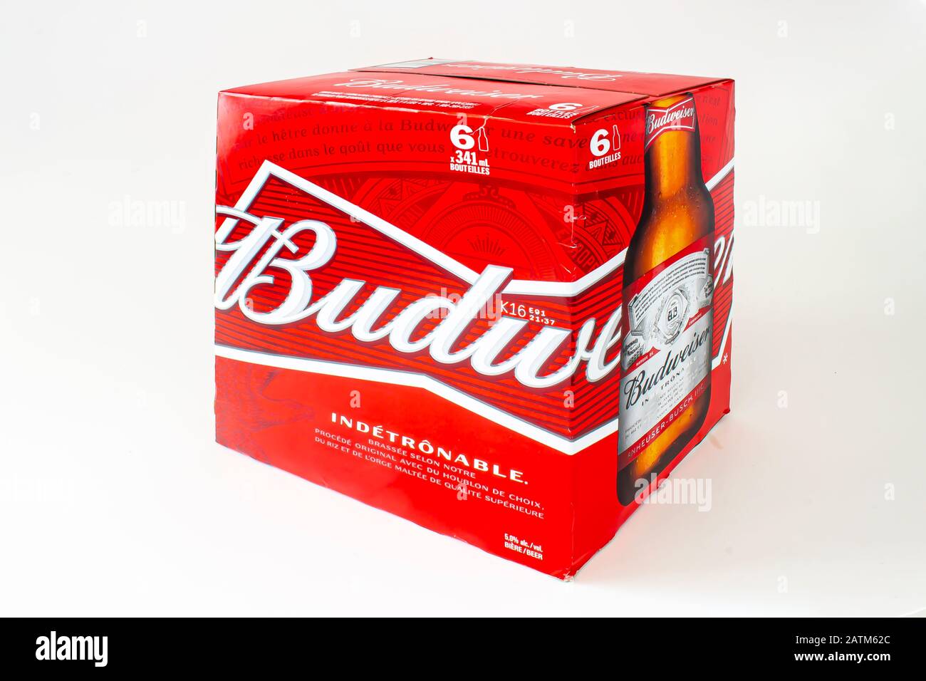 Eine Schachtel Budweiser Flaschenbier mit sechs Bieren Stockfoto