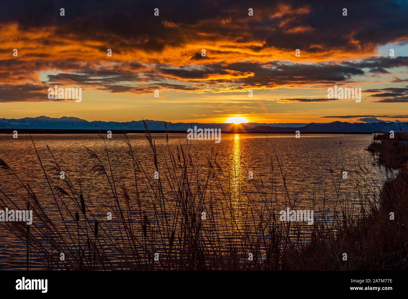 Bei diesem Schuss leuchtet die untergehende Sonne die Wolken auf und reflektiert auf dem Wasser in der Farmington Bay Waterfowl Management Area in der Nähe von Farmington, Utah, USA. Stockfoto