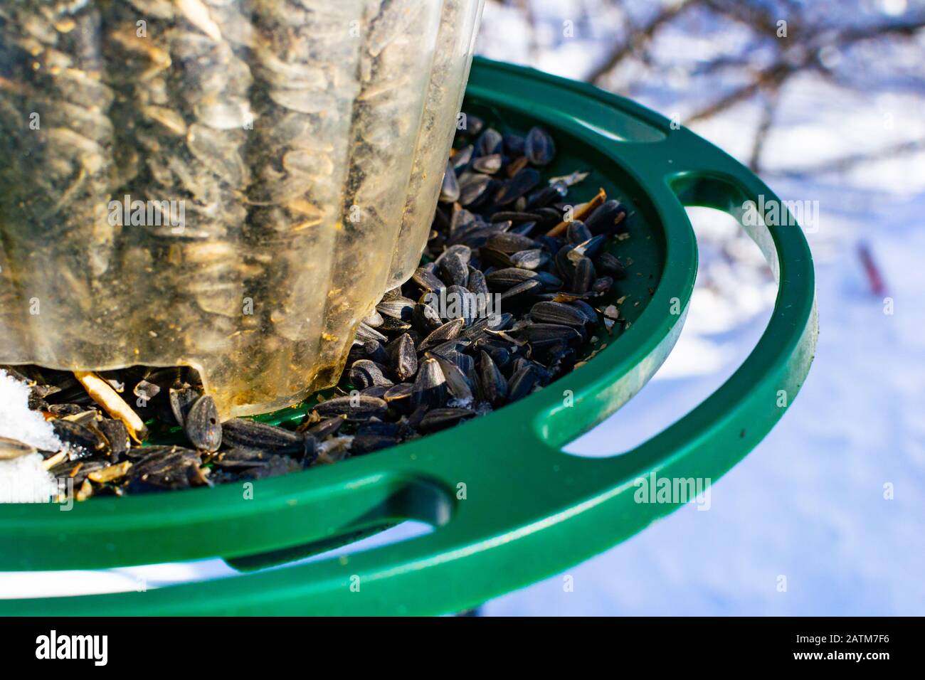 Nahaufnahme von Samen in einem Vogelzubringer im Winter Stockfoto