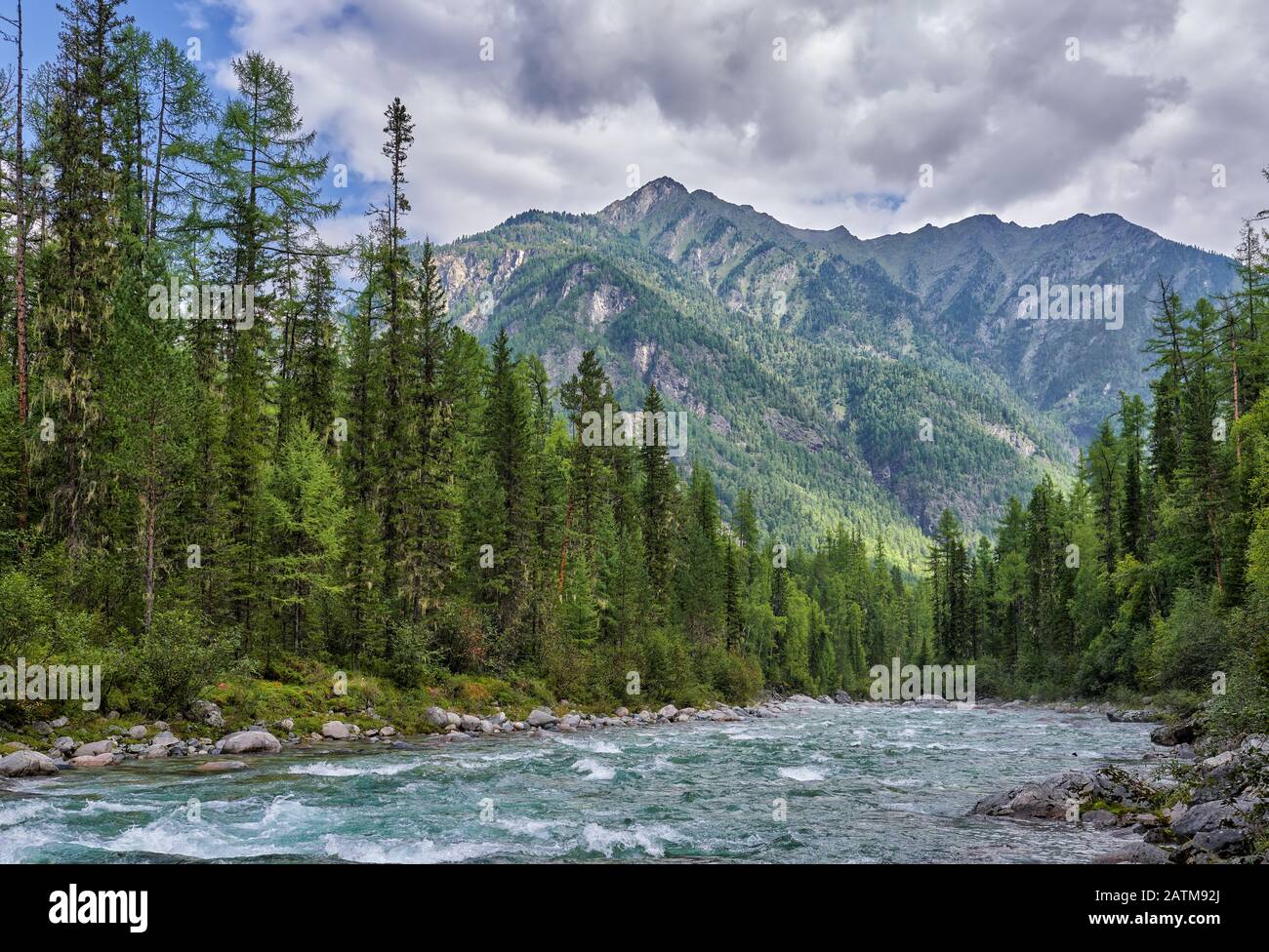 Der Fluss zerfalle den dunkelschnellen Gebirgsfluss. Tiefdunkle Nadelteig-Taiga in Ostsibirien. Sayan Mountains. Burjatia, Russland Stockfoto