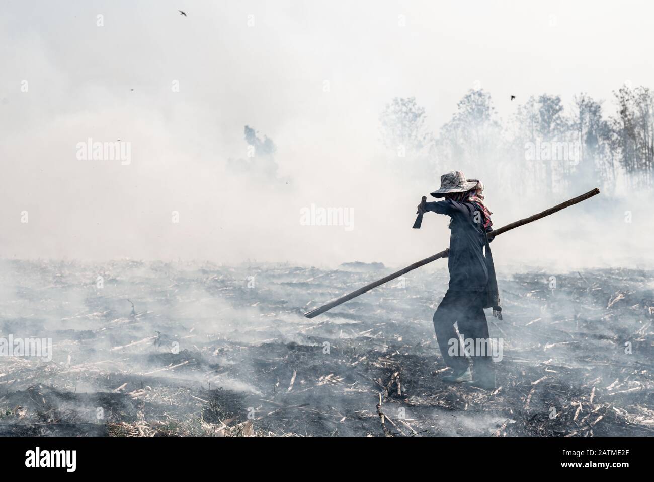 Bauern, die Thailand beleuchten, kontrollierten das Verbrennen des Präriefeldes. Stockfoto