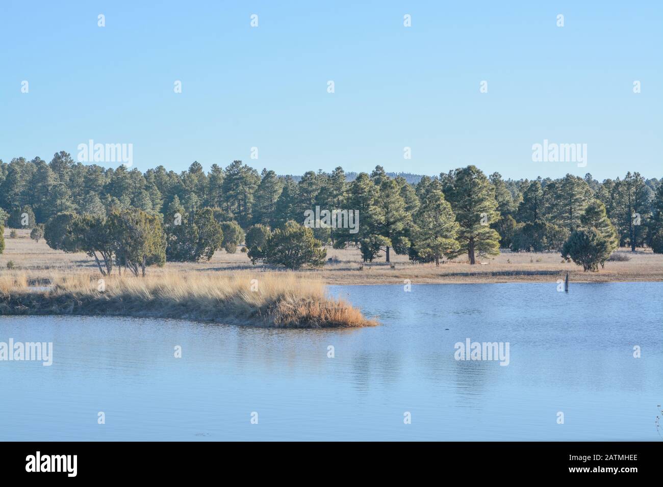 Ruhiger Blick auf den Fool Hollow Lake in Show Low, Navajo County, Apache Sitgreaves National Forest, Arizona USA Stockfoto