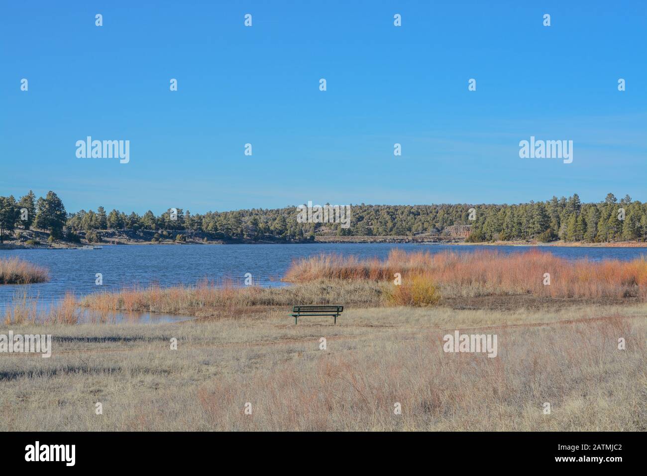Ruhiger Blick auf den Fool Hollow Lake in Show Low, Navajo County, Apache Sitgreaves National Forest, Arizona USA Stockfoto