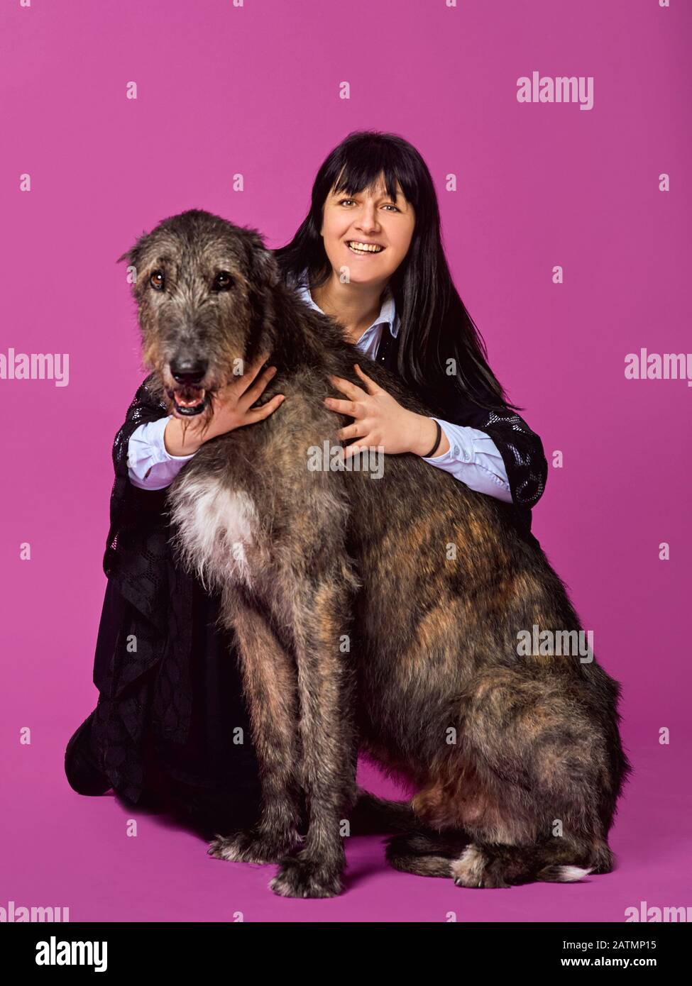 Lächelnde fröhliche brünette Frau mit grauen irischen Wolfhounds auf fuchsienfarbenem Hintergrund im Fotostudio. Freundschaft, Liebe, Haustierkonzept. Stockfoto