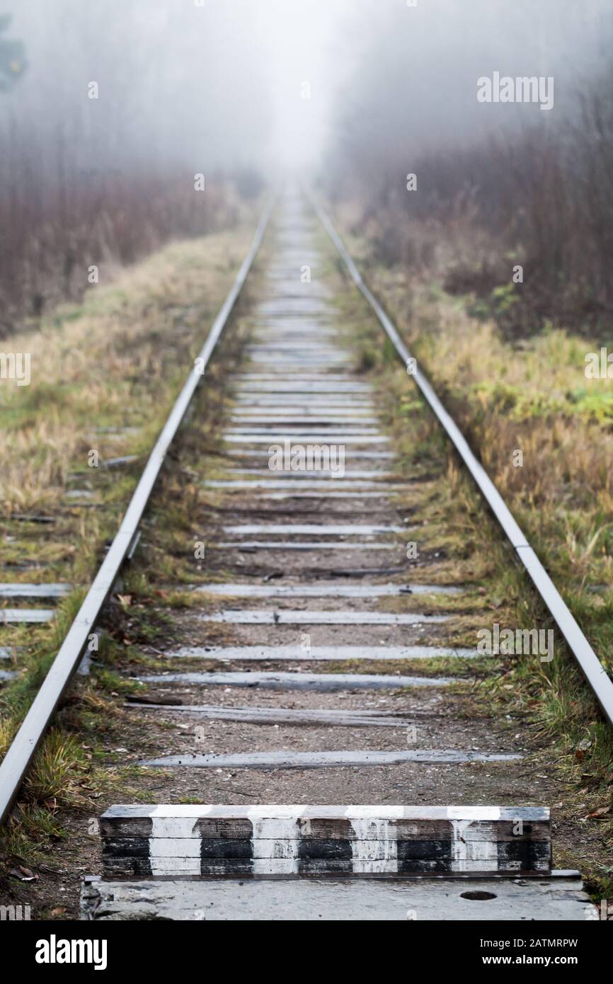 Die leere Bahn geht durch nebligen Wald, vertikaler Fotohintergrund Stockfoto