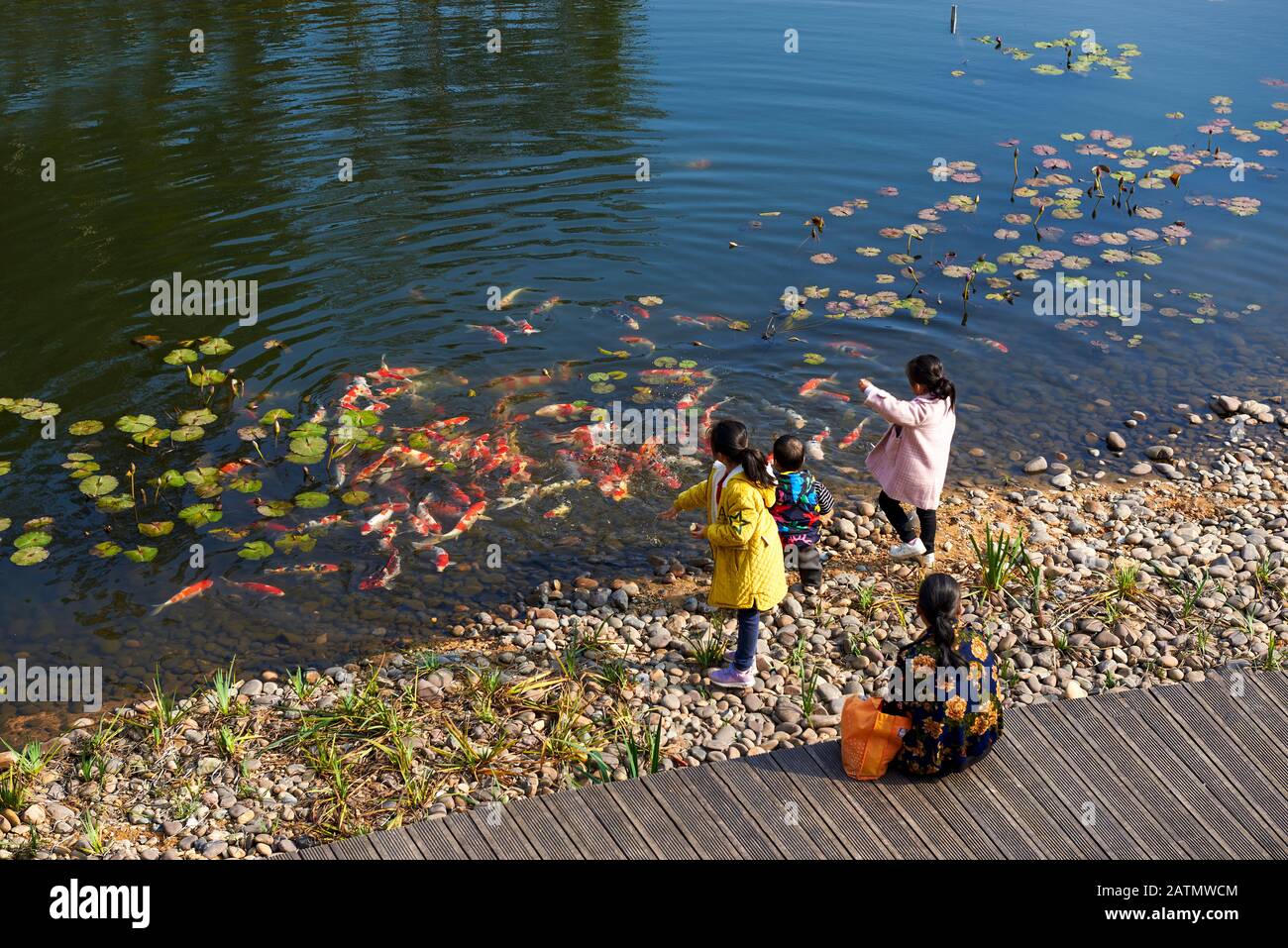 Kind Im Teich Stockfotos und bilder Kaufen Alamy