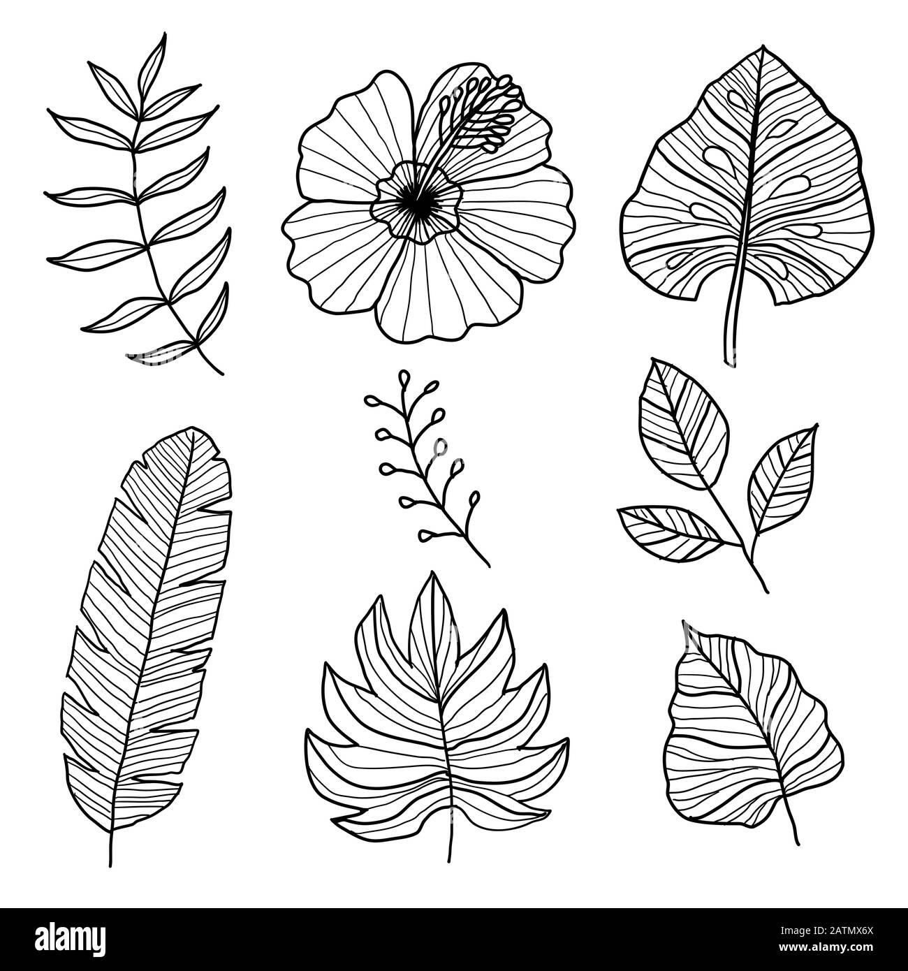Set aus botanischen Vektorelementen, tropischen Blättern und Blumen auf weißem Hintergrund. Handgezeichneter Stil - Vektor-Ilustration Stock Vektor