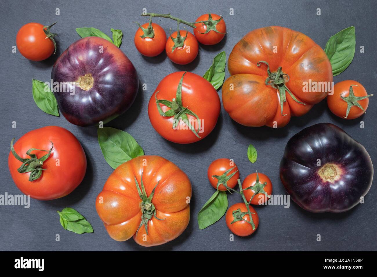 Tomatenvielfalt Draufsicht. Lila und rote Tomaten mit Basilikum auf Schwarz Stockfoto