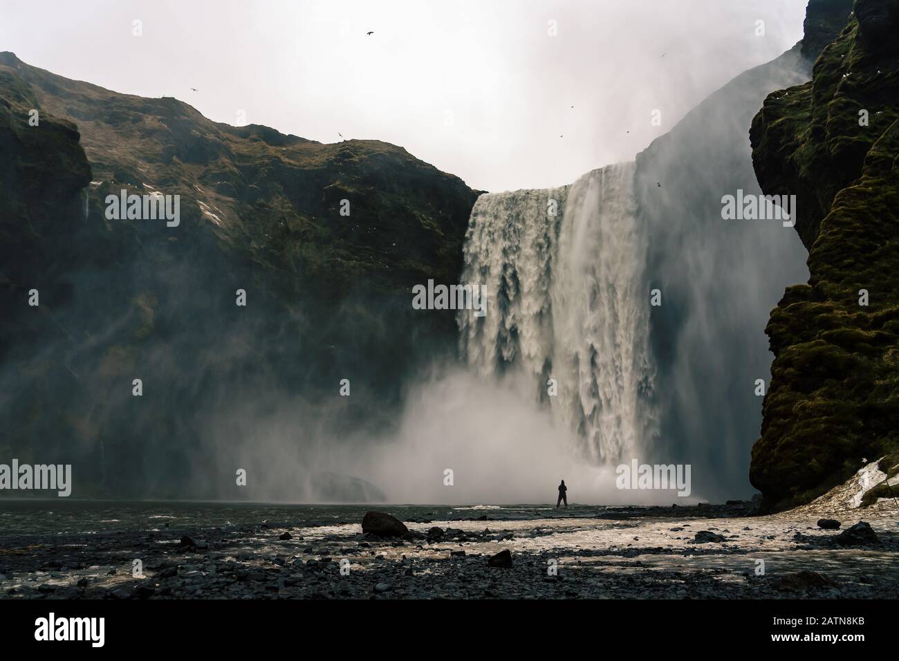 Frau standig bevore den majestätischen Wasserfall Skogafoss in Island Winterzeit Stockfoto