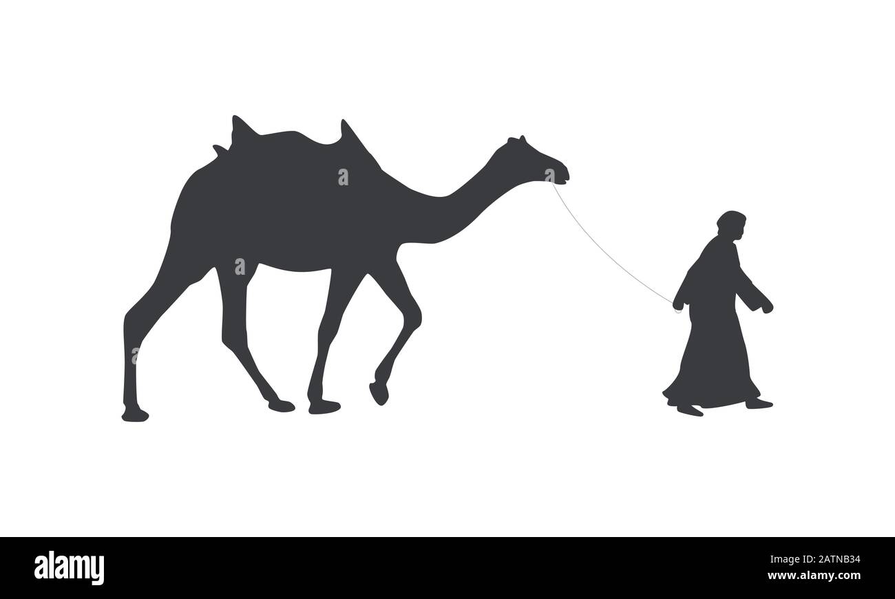 Silhouette des Kamels mit Sattel und Statier. Stock Vektor