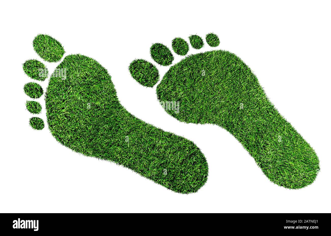 Ökologisches Fußabdruckkonzept, Barfußabdruck aus üppigem grünem Gras isoliert auf weißem Hintergrund Stockfoto