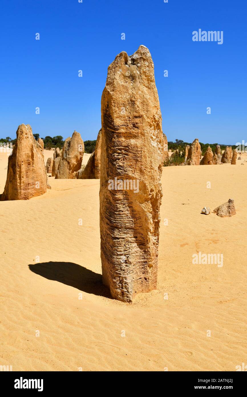 Australien, WA, die Pinnacles im Nambung Nationalpark, bevorzugte touristische Attraktion und natürliche Sehenswürdigkeiten Stockfoto