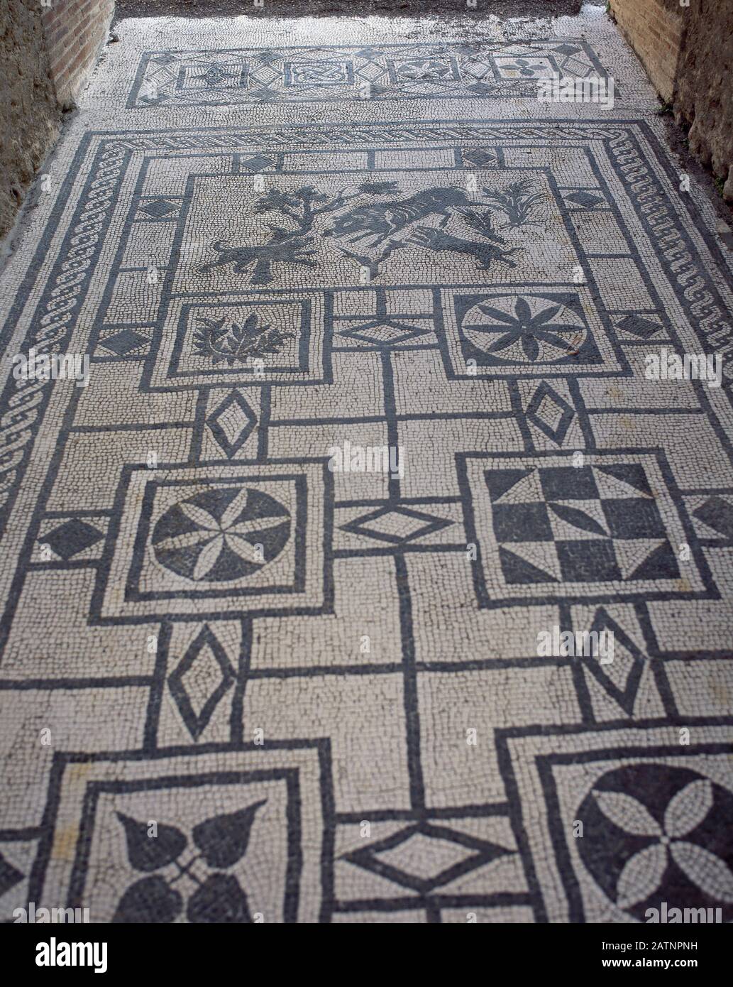 Italien, Pompeji. Haus des Wildschweins (Straße des Überflusses). Römisches Mosaik des Atriums mit geometrischen Motiven. Im Zentrum eine Jagdszene: Hunde greifen auf ein Wildschwein. Stockfoto