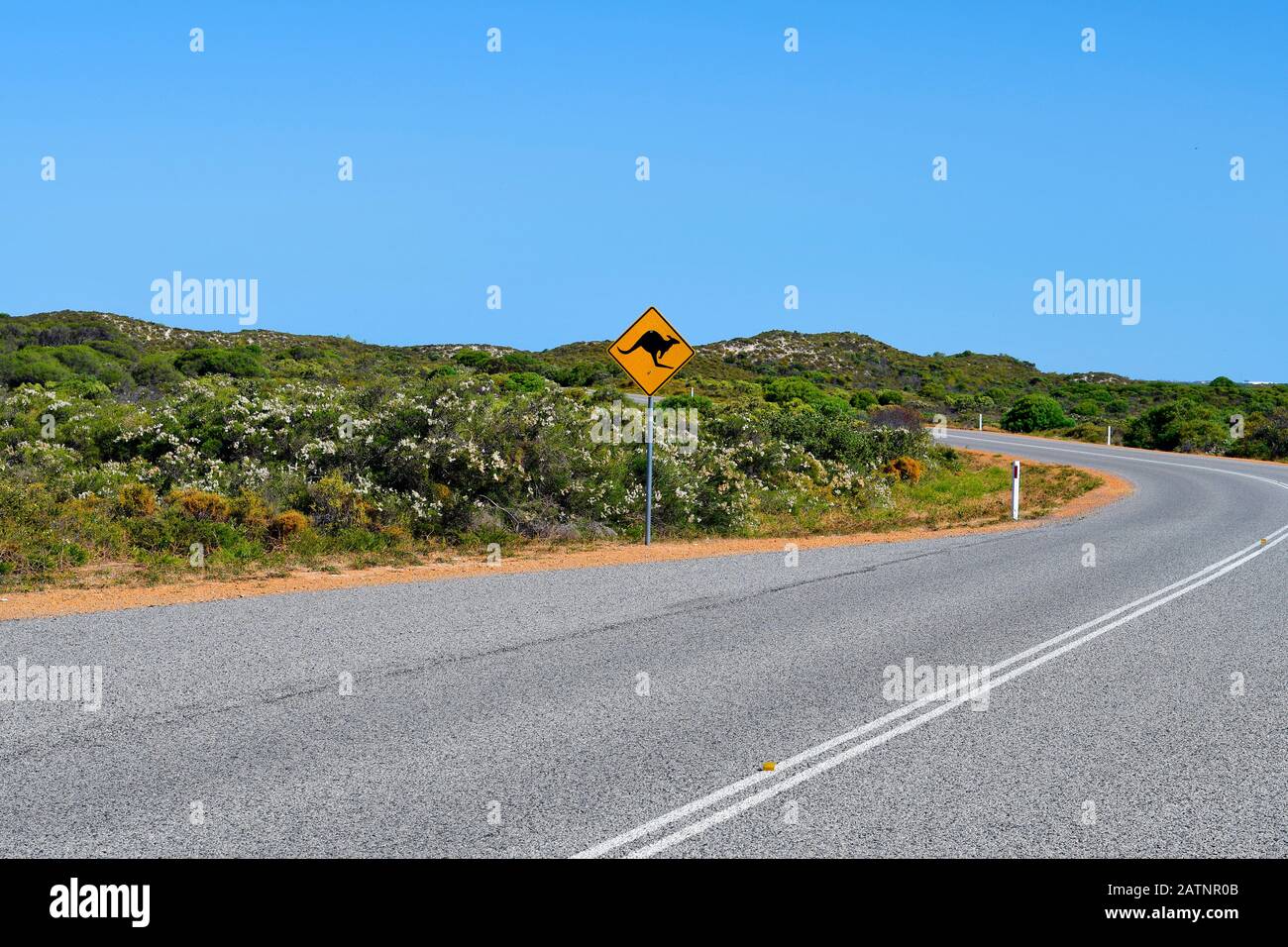 Australien, WA, versiegelte Straße zum Nambung National Park mit Warnschild für Känguruüberfahrt Stockfoto