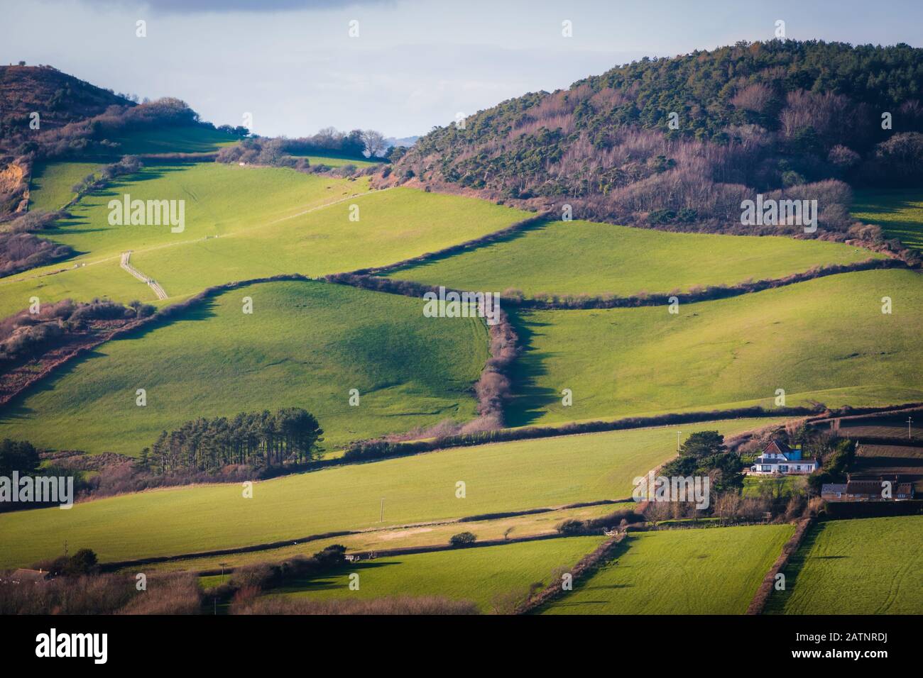 Bauernhof und Felder in Dorset Stockfoto