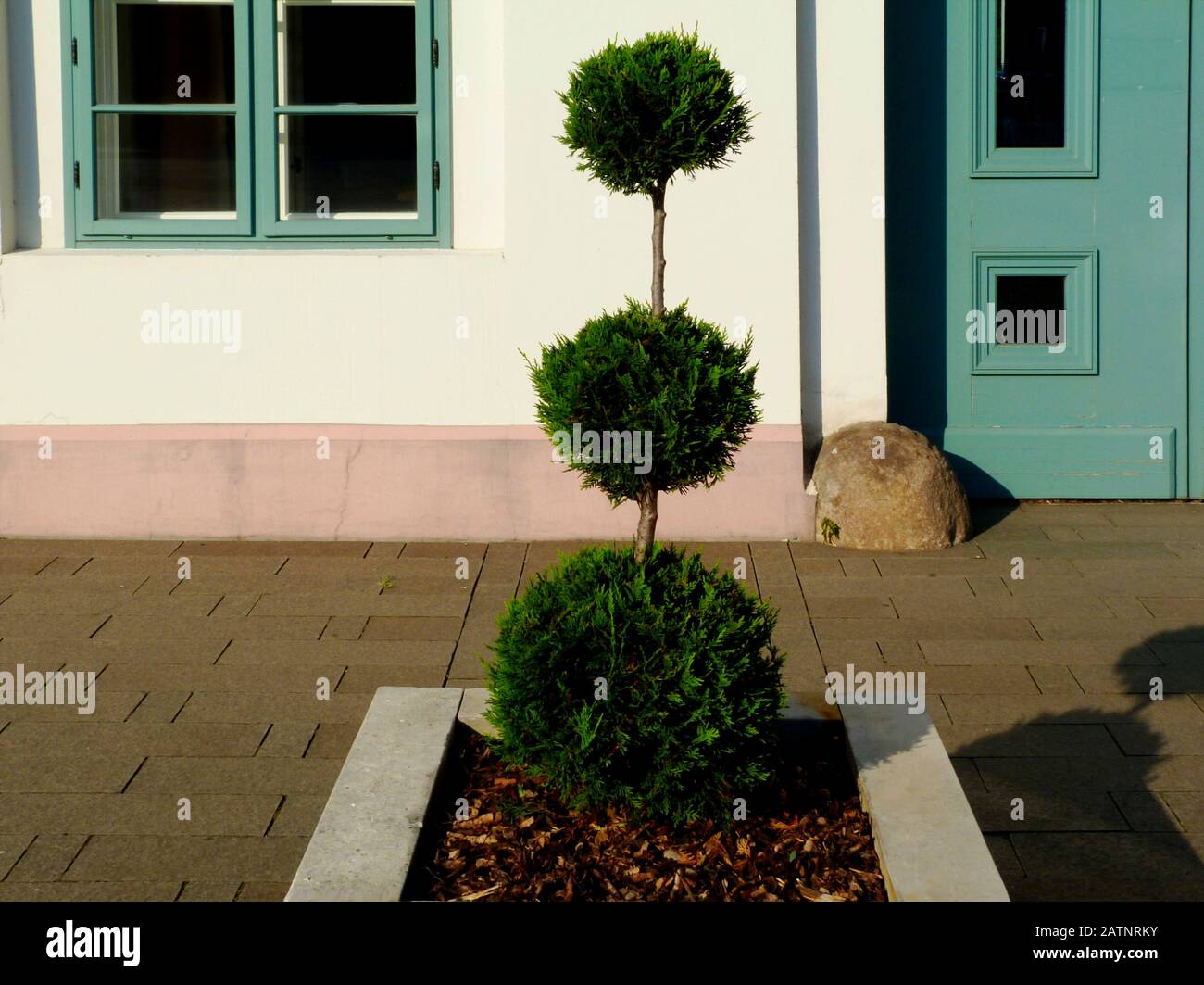 Straße und harte Landschaftsgestaltung. Steinplanter Detail. Formell gestutzter immergrüner Arborvitae Strauch. Stuck Gebäude außen. Elegantes grünes Holzfenster Stockfoto