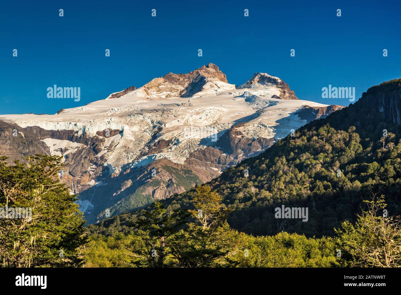 Pico Internacional und Pico Argentino im Monte-Tronador-massiv, Andengebirge, Nationalpark Nahuel Huapi, von Pampa Linda, Patagonien, Argentinien Stockfoto
