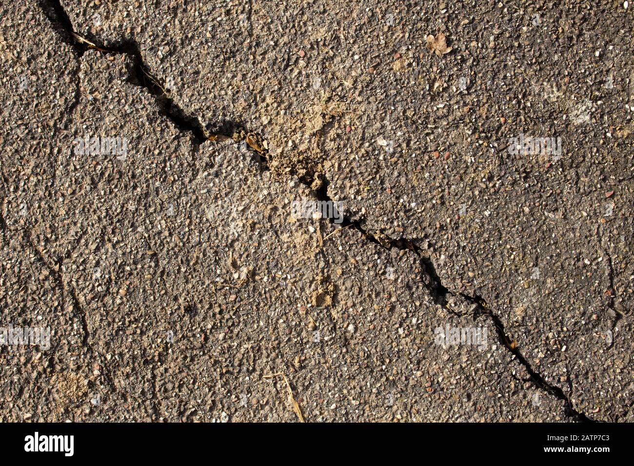 Alte schmutzige, raue Asphaltpflaster mit einem Riss, der durch ihn läuft, mit Pflanzen, Gras, Moos und Flechten wachsen Stockfoto