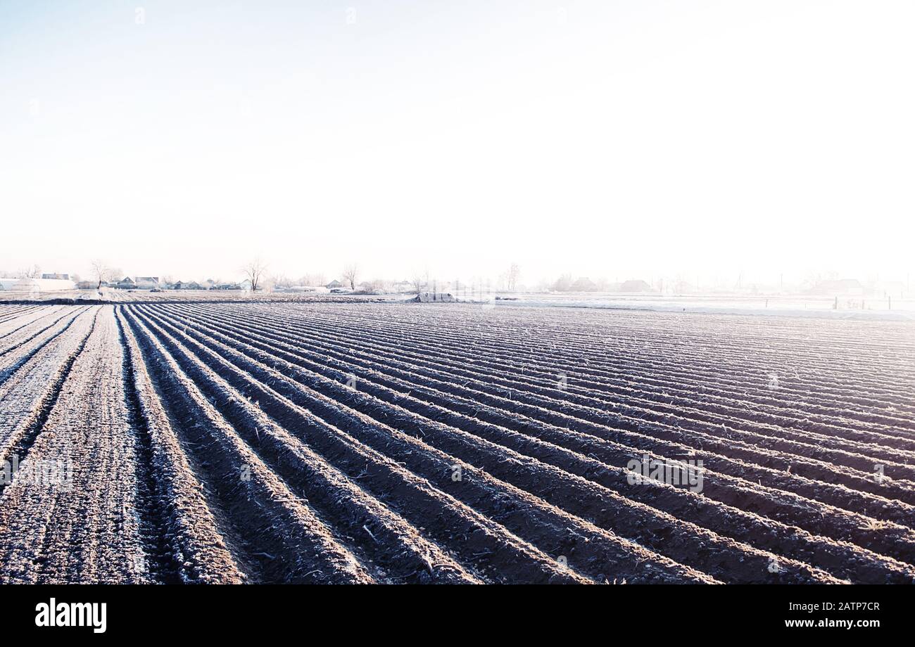 Winterfarmfeld bereit für neue Pflanzsaison. Landwirtschaft und Agrarwirtschaft. Die richtige Zeit für die Säumfelder Pflanzensamen, Schutz vor dem Frühjahr Stockfoto