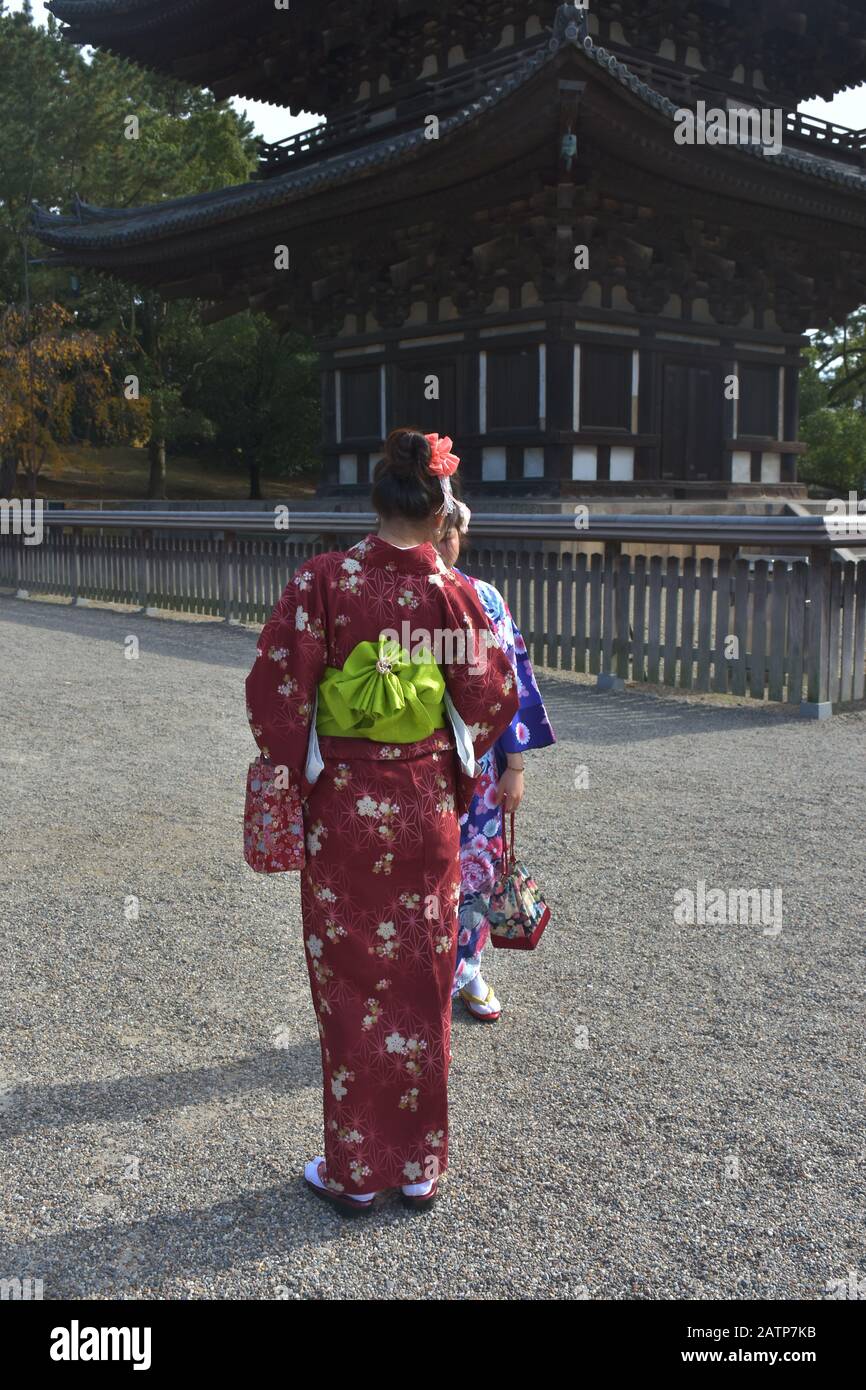 Schöner Blick auf den Kofukuji-Tempel Stockfoto