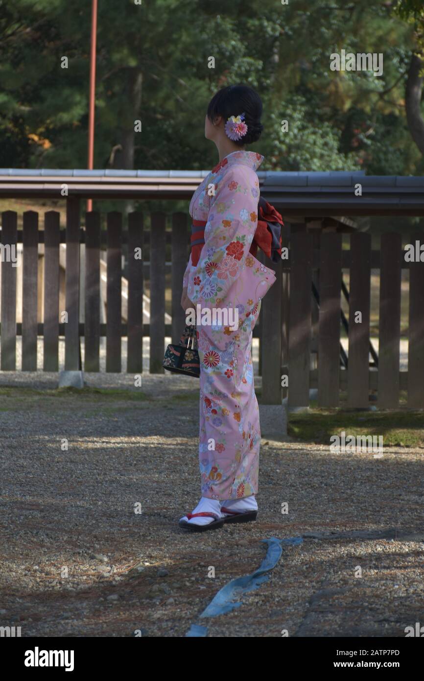 Schöner Blick auf den Kofukuji-Tempel Stockfoto