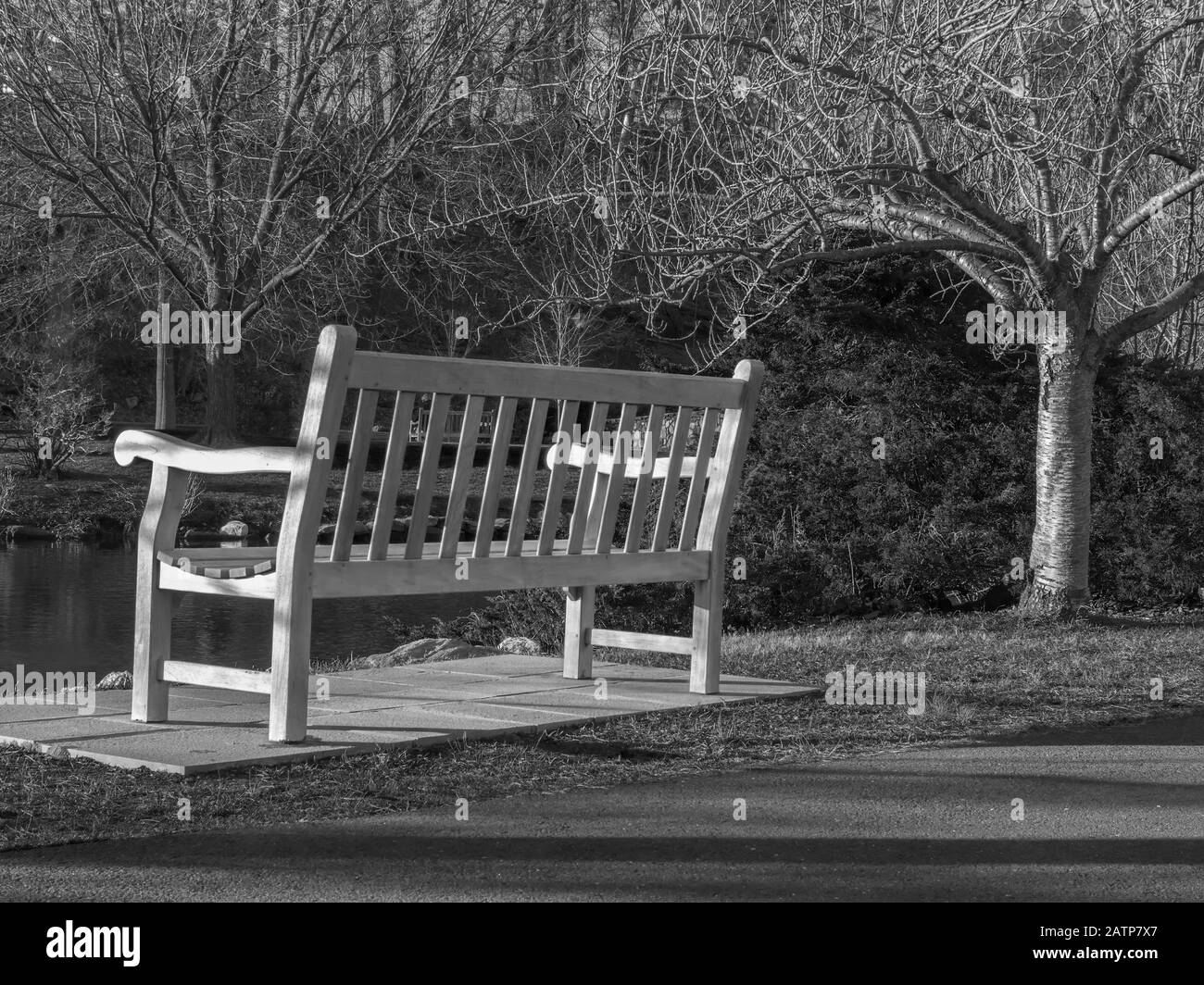 Einsame Parkbank schwarz-weiß Stockfoto